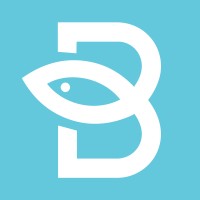 Blue Salmon logo - Similar company to Einit Ltd
