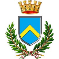 Comune di Mirandola logo - Similar company to S8