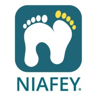 NIAFEY logo - Similar company to Computasys