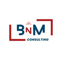 BNM Consulting logo - Similar company to B&M Cyber