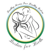 Bodies for Birth® logo - Similar company to Twin Peaks Construction