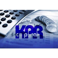 Kenneth P. Rapoport CPA, Ltd. logo - Similar company to Levin Associates