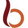 Builtron Security Safety Systems logo - Similar company to Broadcom Uae