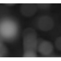 Orchestrate AI Labs logo - Similar company to New Charter Technologies