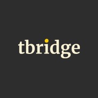 Turing Bridge logo - Similar company to Turing Bridge