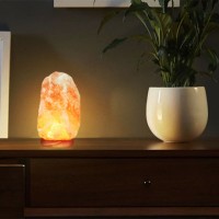 Himalayan Salt Products logo - Similar company to Orgahoney