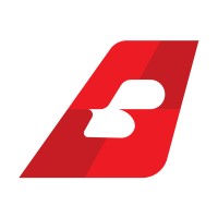 BIGFLY Air logo - Similar company to Mallard Enterprises