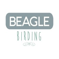 BEAGLE BIRDING logo - Similar company to Almar Viajes