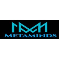 Metaminds logo - Similar company to Rjtechglobal