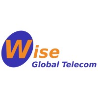 Wise Global Telecom logo - Similar company to Moldintel