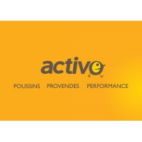 Activo Madagascar logo - Similar company to Chicky Madagascar