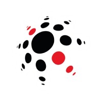 REDECOM CIA LTDA logo - Similar company to Redecom Comunicaciones Sl