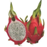 Pitaya Filmes logo - Similar company to La Casa Filmes