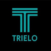Trielo Consultoria Júnior logo - Similar company to Grupo Realfor