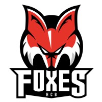 HCB FOXES Südtirol Alperia logo - Similar company to Visual2 Snc