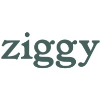 Ziggy logo - Similar company to La Commère