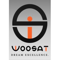 woosat logo - Similar company to Teslian Tech