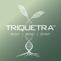 Triquetra logo - Similar company to Mondax Comércio Internacional
