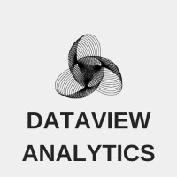DataView Analytics logo - Similar company to Dataview.In