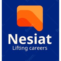 Nesiat LLP logo - Similar company to Rns Solution And Services Fzc Llc