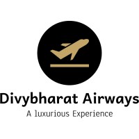 Divy Bharat Airways logo - Similar company to Tysmedia