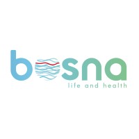 Bosna logo - Similar company to Anidea