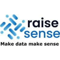 RaiseSense logo - Similar company to Vinculum