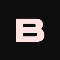 BLING logo - Similar company to Principal Developer