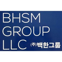 BHSM Group LLC logo - Similar company to Incepture