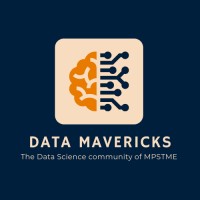 Data Mavericks logo - Similar company to </Noscript>