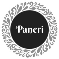 Paneri logo - Similar company to Paneria