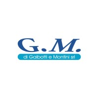 Ferramenta G.M. di Gaibotti e Montini logo - Similar company to Alfa Ferramenta
