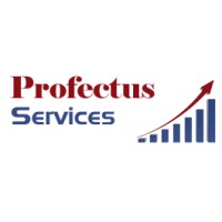 Profectus Services logo - Similar company to Profectus Group