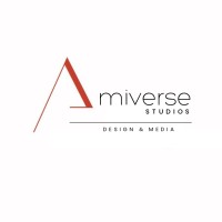 Amiverse Studios logo - Similar company to Bns Solution