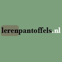 lerenpantoffels.nl logo - Similar company to Bagga