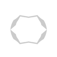 Situla Mimarlık logo - Similar company to Mesci̇   Façade Engineering & Project Atelier