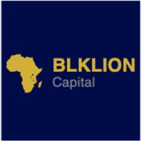 BLKLION Capital logo - Similar company to Localisation Support Fund