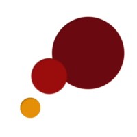Studio Photo Gallery - Photography Studio logo - Similar company to Studio Ballena