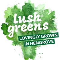 Lush Greens logo - Similar company to Earth & Mind Cic