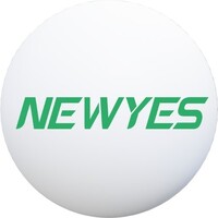 NEWYES ISRAEL logo - Similar company to Courtesy