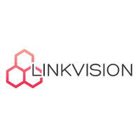 Linkvision logo - Similar company to Linkvisionsoft