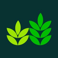 Reestify - Your Digital Partner logo - Similar company to Amirus