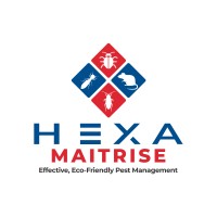 Hexa Maitrise logo - Similar company to Hexa Cloud Services
