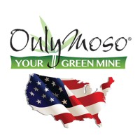 OnlyMoso USA logo - Similar company to Activists Without Borders
