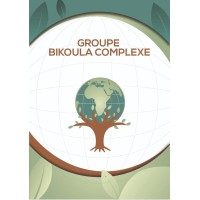 GROUPE BIKOULA COMPLEXE INTERNATIONAL CONSULTINGS logo - Similar company to Cy Grup Guinée