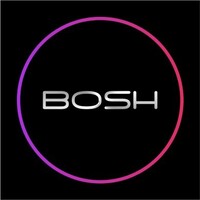Bosh International logo - Similar company to Bosh Builders Llc