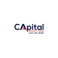 CApital Bright Trek financial & real estate brokerage logo - Similar company to E2Hub