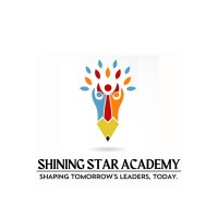 Shining Star Academy logo - Similar company to Shining Star It