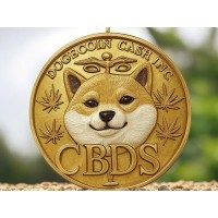 Dogecoin Cash, Inc. logo - Similar company to Prestodoctor
