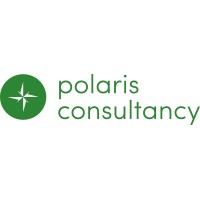 Polaris Consultancy logo - Similar company to The Mind Space